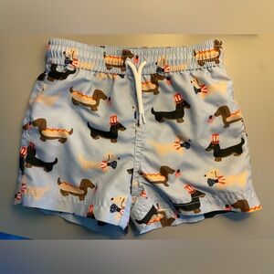 Patriotic Dachshund swim trunks & socks